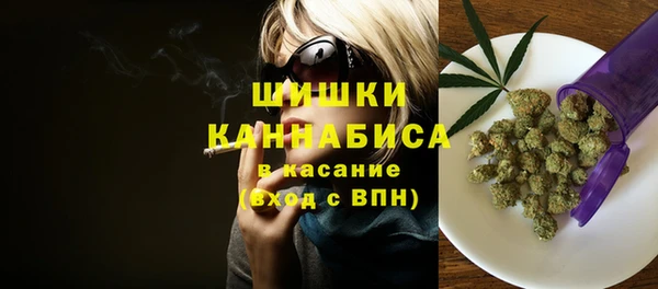 твердый Алексин