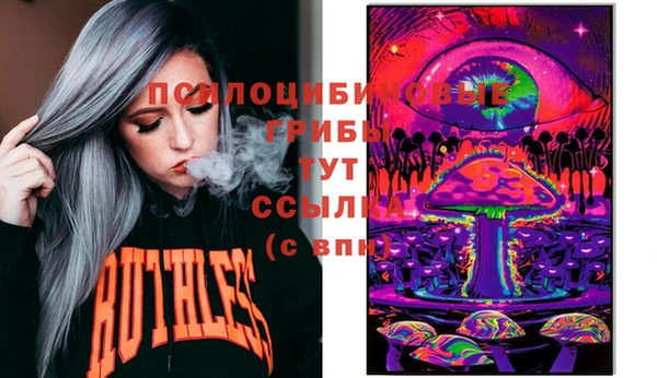 твердый Алексин