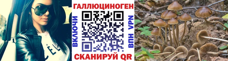 Галлюциногенные грибы мицелий  сайты даркнета Telegram  Узловая 